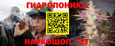 спайс Будённовск