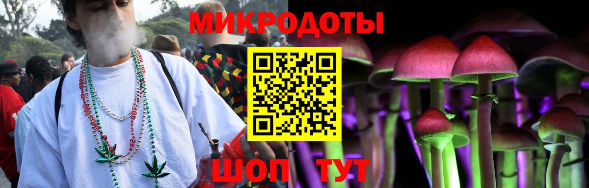 Псилоцибиновые грибы прущие грибы Шумерля